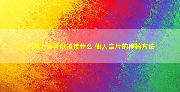 仙人球上面可以嫁接什么 仙人掌片的种植方法